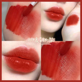 پک رژ لب اردکی مایع Von Gee